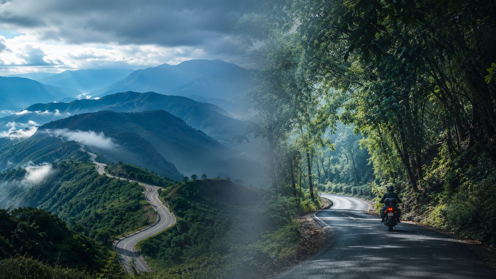 Two roads in one frame — a remote mountain highway dissolving into a close forest lane